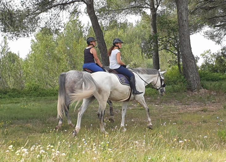 Appartamento O' Cocooning - Dans Bastide Proche Aix Rousset (Bouches-du-Rhone)