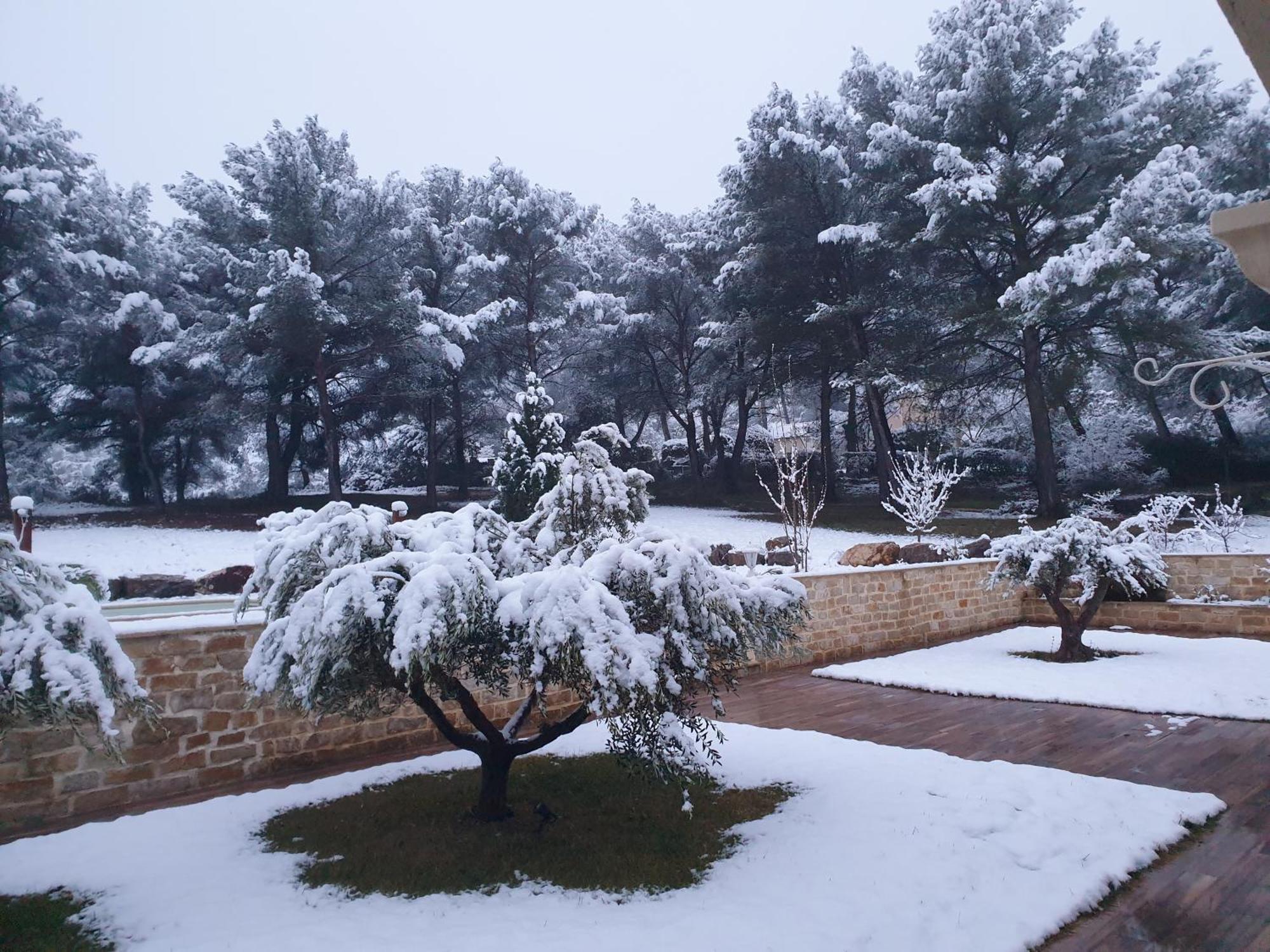 Apartment O' Cocooning - Dans Bastide Proche Aix *